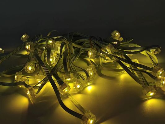 Rgbw Lights Addressable Smart Exterior Led Outdoor Christmas Lights Pixel Point Light