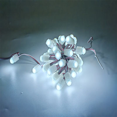 Good price IP67 Waterproof LED Pixel Light DC12V 0.2W with 30000 Hours Lifespan Outdoor Decoration Changeable