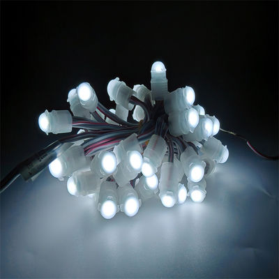 Good price IP67 Waterproof LED Pixel Light DC12V 0.2W with 30000 Hours Lifespan Outdoor Decoration Changeable