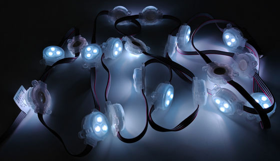 Christmas Color Monochrome Outdoor Decoration Lamp with 120 Degrees Beam Angle and IP67 Waterproof