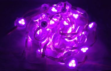 赤い青緑の導かれた Rgb ピクセル色温度 DC12V 1W の豆電球のカーテン