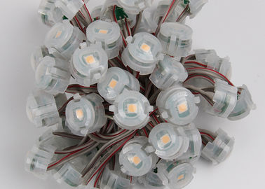 屋外DC12V 20mm SMD 5050 IP67はピクセル クリスマスの照明2000mcdを導きました