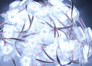 ライト ボックスのための白いRGB 30mmのIP67 6破片LEDの印DC24V LEDピクセル