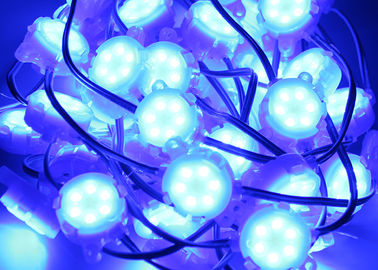防水Epistar SMD 5050 RGB 30mmの青ポイントは軽い屋外を導きました