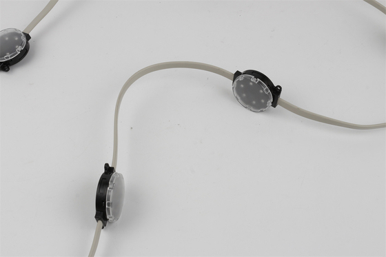 奇跡の豆DC24V屋外の防水ポイント ライトLED SMD3535 50mm