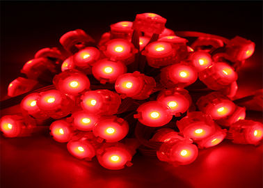 防水0.25W 20mmの赤ピクセルは照明12ボルトLEDライトを導きました