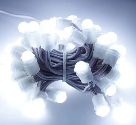 白色 LEDライト 防水 50Leds DC 12V 9mm LED ピクセルストリングライト