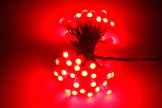 恒久的な外観の休日の飾り付けライト rgbic DC5V 水母 恒久的なクリスマスの光 屋外 LED ピクセル文字列
