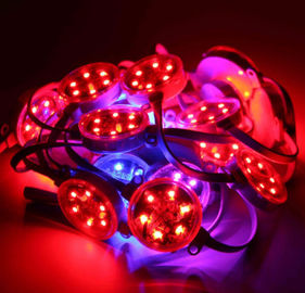 屋外の40mmは50mm SMD3535 DMXデジタルRGB防水ピクセルIP67を導きました