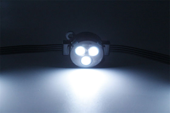 装飾型SMD 30mm 防水 IP67 12V LED点灯