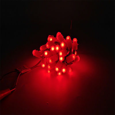 奇跡豆 LED クリスマス装飾 LED点灯 単色 LED プログラム可能なピクセルライト