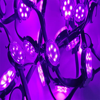 24v 4cm直径 LED ピクセルライト PC材料 LED クリスマス休日 RGBW 防水 1.5W