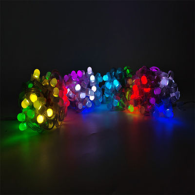 12mm ピクセル LEDライト クリスマス飾り点灯 防水 IP68 12V 屋外 RGB フルカラー