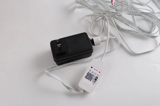 Hot Sale Christmas Holiday Decoration Ip67 Waterproof Rgbic Led Permanent Outdoor String Point Eaves Light