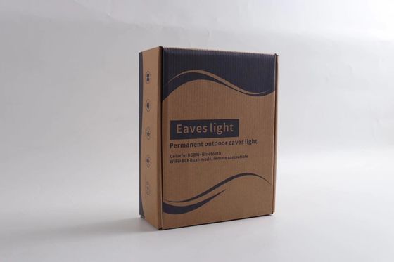 Hot Sale Christmas Holiday Decoration Ip67 Waterproof Rgbic Led Permanent Outdoor String Point Eaves Light