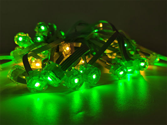 Christmas Outdoor Holiday Lighting SMD5050 LED DC12V 20MMM Light for House eave light Decoration