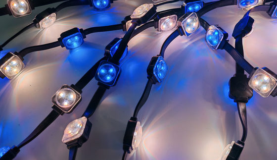恒久的な照明ソリューション 屋外用 LED ストライプ 装飾照明 建物の玄関用