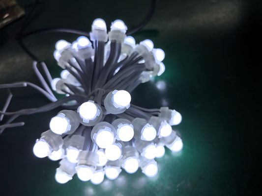 9cm PVC点灯 彩色のLED源とSPI制御 ランドスケープ用