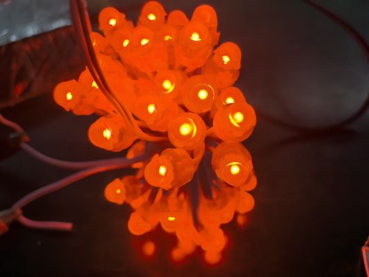 アクリルLEDバックライト RGBIC DC5V 外装のためのクラゲのクリスマスライト