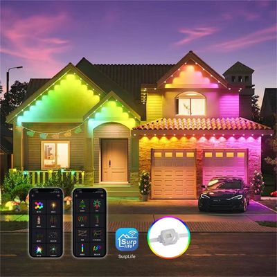 屋外クリスマス飾り 160 LED RGBW SMD5050 リモコン付き イーブライト