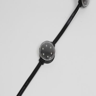 Smart Control Festival Amusement Park Building LED Point Light Miracle Bean Permanent Outdoor LED with 120° Viewing Angle