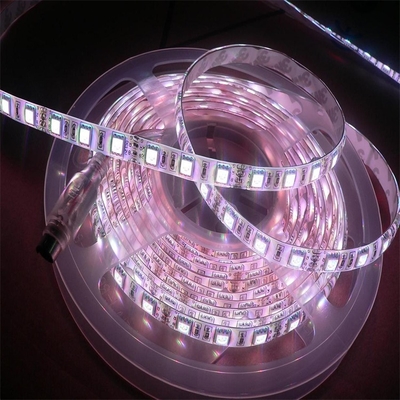 FPCフレキシブルPCBボード LED 5050 RGBW 高輝度 多機能照明製品 5000*12*4.0mm DC24V LEDストリップライト