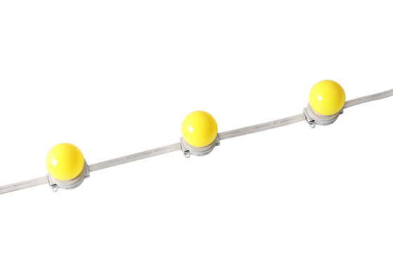 40mm IP67 防水 DC 24V LED球体 屋外建築照明用