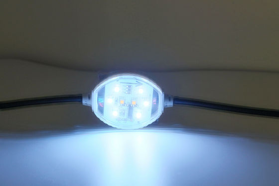120°角度1.5W 24V 60mm IP65 RGBW LEDピクセル
