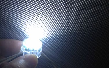 輸入された PC の貝の明るさ DC12V SMD 5050 LED ピクセル ライト セリウム ROHS
