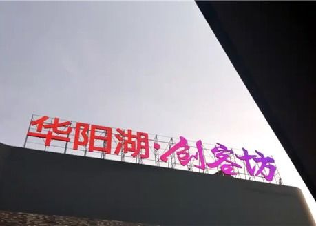 奇跡の豆はピクセルが軽い導かれたピクセルRgbを導いたRgbピクセルBISを証明するプログラム可能な12mmのRgbによって導かれたクリスマスの照明を導いた
