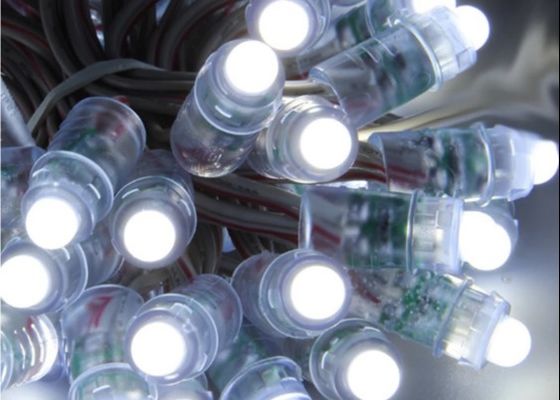 遊園地12V 5Vはクリスマスのためのピクセル ライト0.3W RGB WS2811 1903デジタル ピクセルを導いた