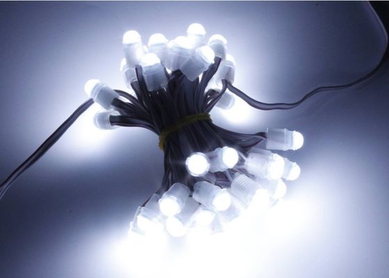 奇跡の豆0.2w 16lm LEDポイント ピクセルは9mm 12v IP67をつける